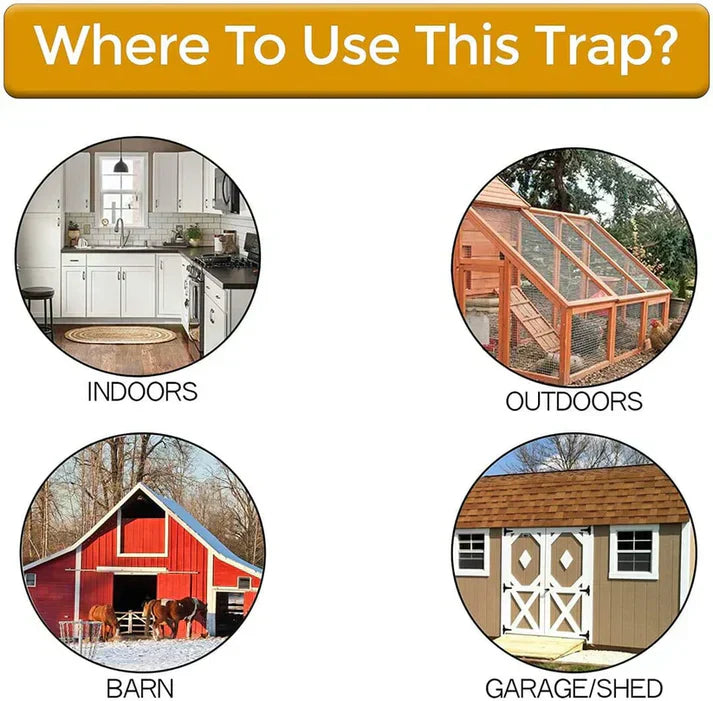Zavinox Bucket Lid Mouse Trap